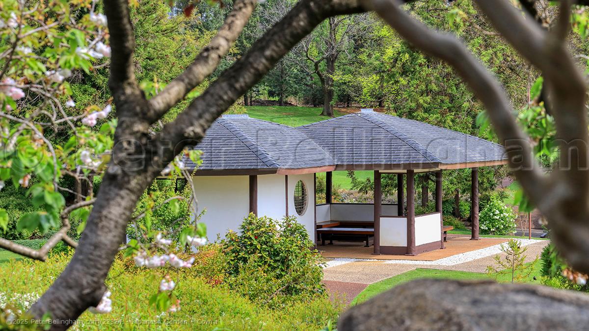 Peter Bellingham Photography Japanese Garden - Cowra